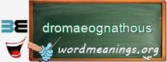 WordMeaning blackboard for dromaeognathous